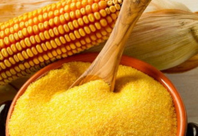 Самогон из кукурузы: как приготовить в домашних условиях