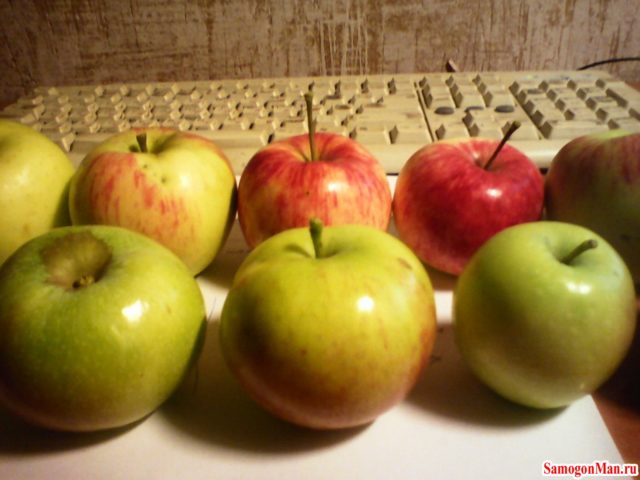Самогон из яблок — рецепт приготовления в домашних условиях