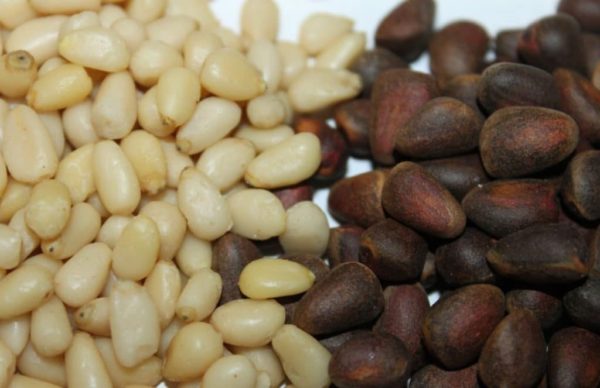 Вкусные рецепты самогона на кедровых орехах