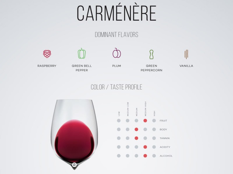 Обзор чилийского вина Карменер