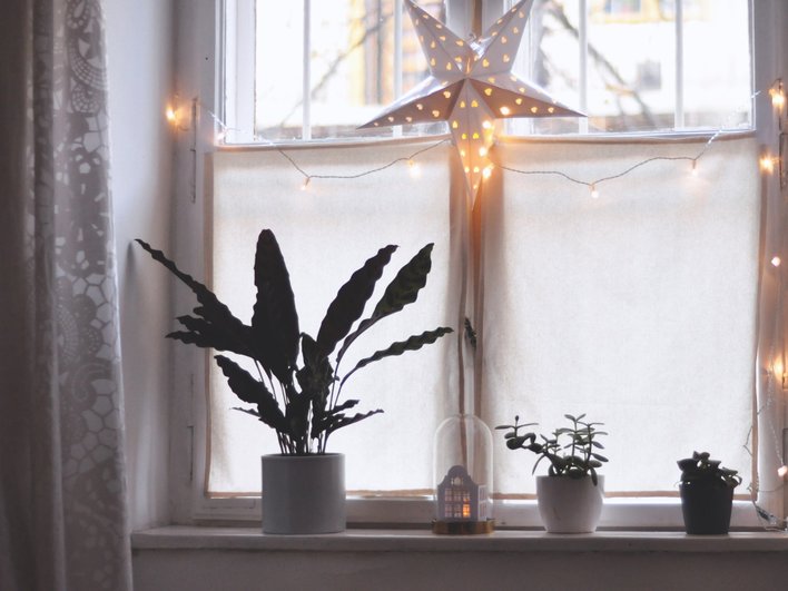Как оформить окно зимой, когда за ним темно и серо: 8 идей для уюта