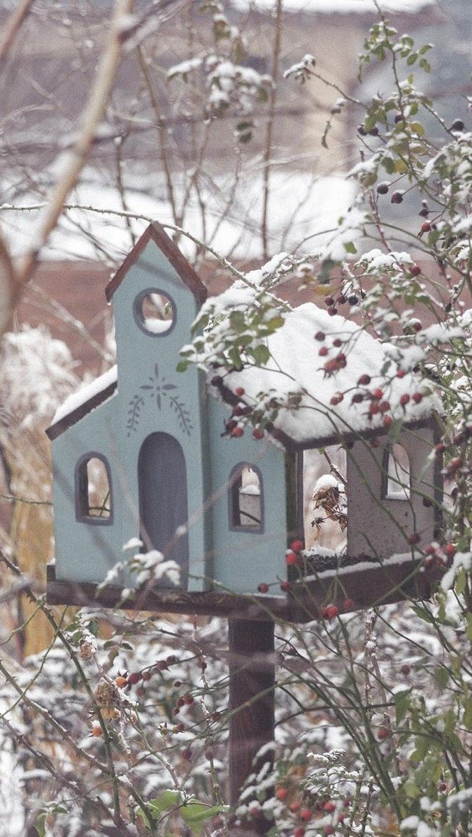 7 красивых идей для оформления зимнего сада